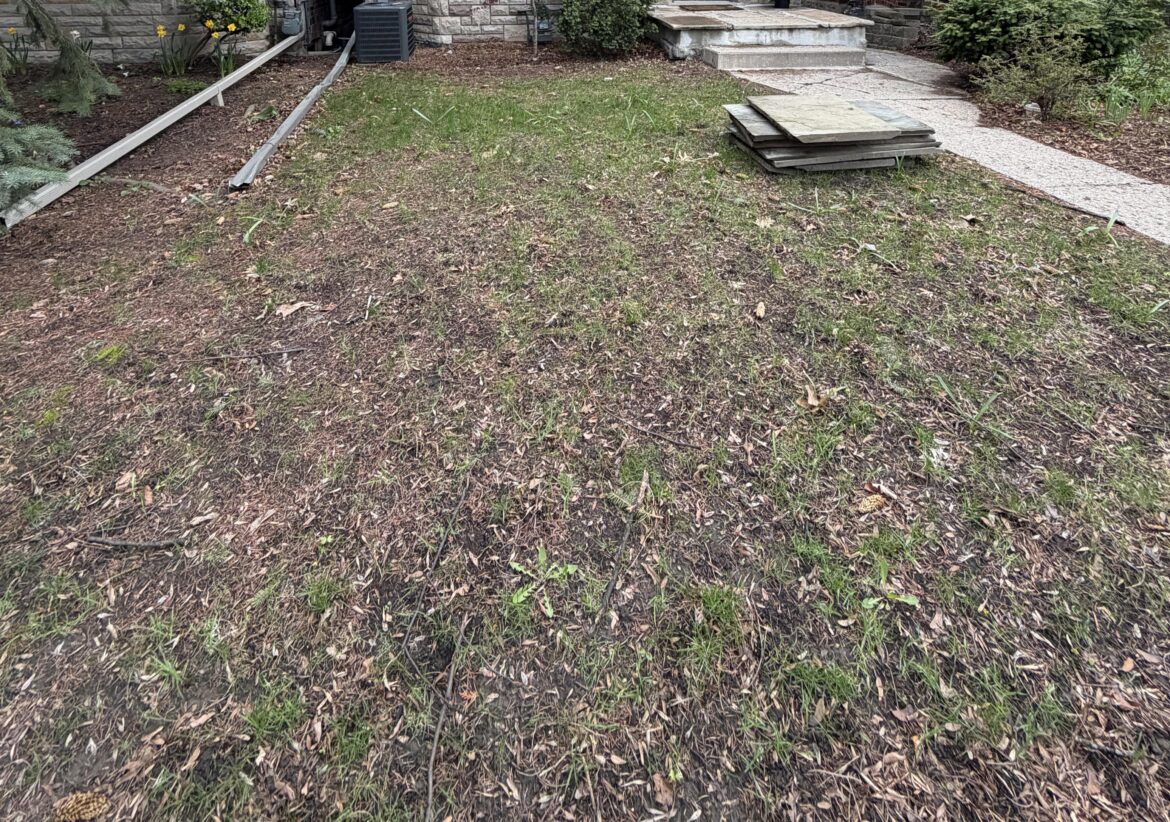 What should we do instead of grass?