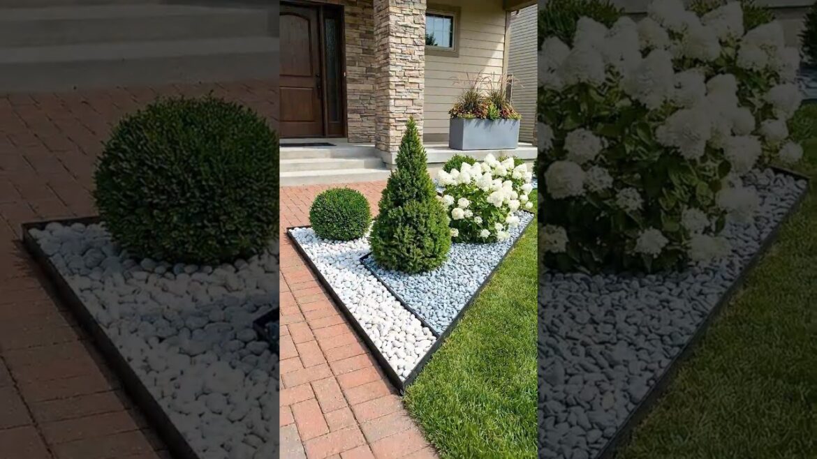 Modern Entryway Landscaping That Feels So Elegant