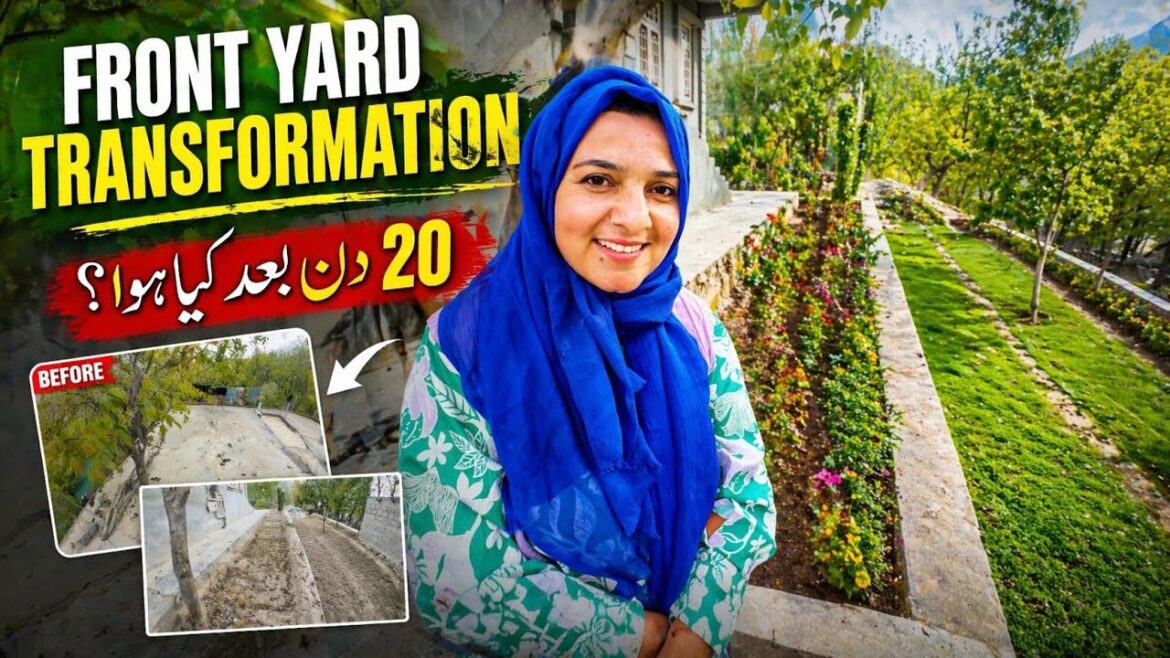 Front Yard Organic Gardening at Home – 20 Days Small Space Results! 🌿🌹| Village Life Vlog Gilgit😍