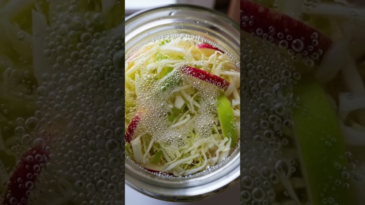 Mushy Kraut? Here is the SOLUTION! | Gardener Tips #gardenhacks #garden #садоводничество