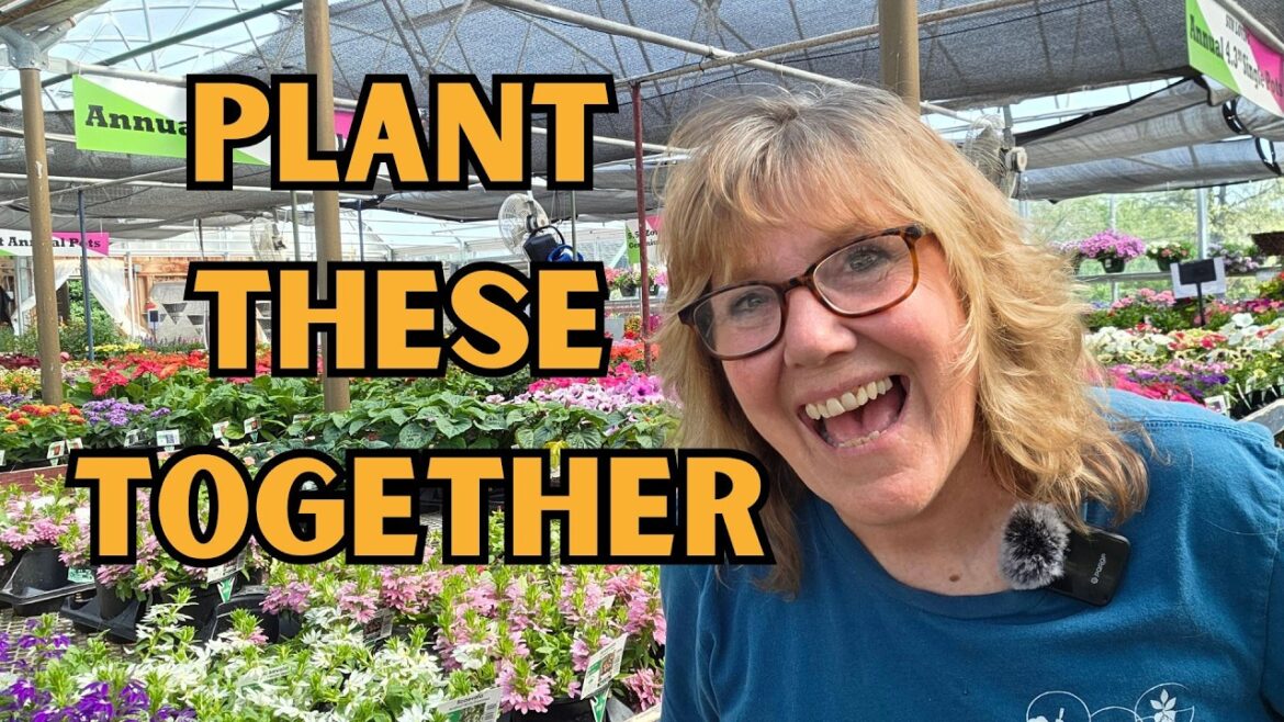 Stop Guessing—8 Plant Combos That Work in Pots & Containers