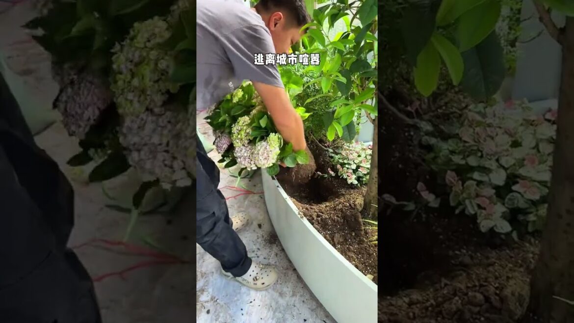 Create your own private balcony garden #SpaceDesign #gardendesign #garden #plants Create your own private balcony garden #SpaceDesign #gardendesign #garden #plants