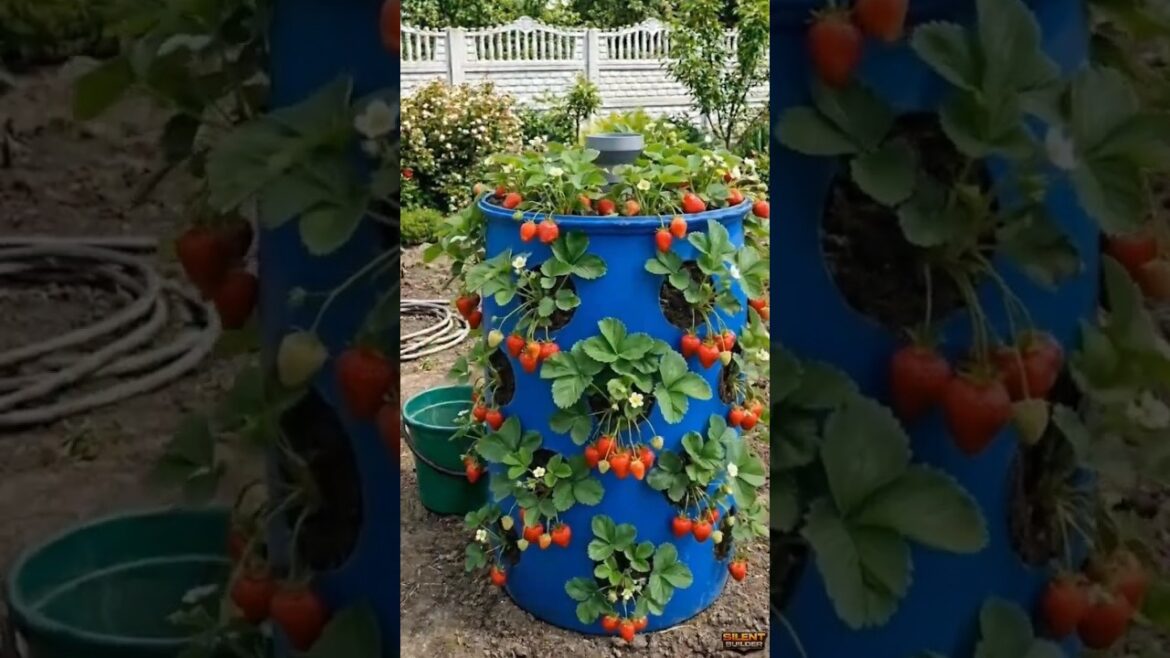 Garden Design Hacks, #gardendesign #gardenideas #plantlovers #gardeningtips #la
