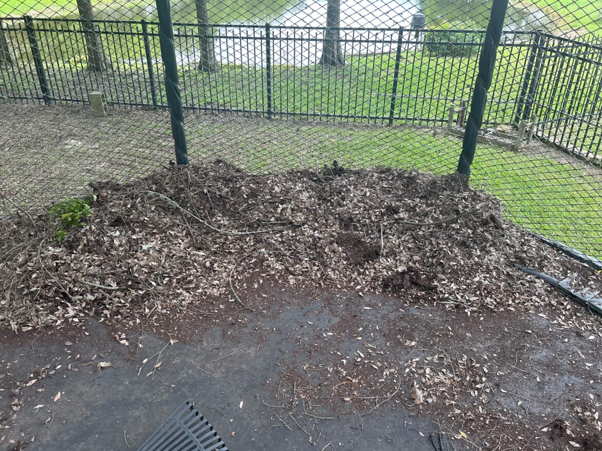 Too bad, I don’t have a composter