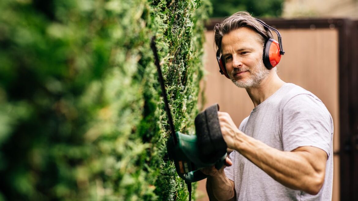 Gardener warns rule that starts in May ‘could see you fined’ Daily Mirror