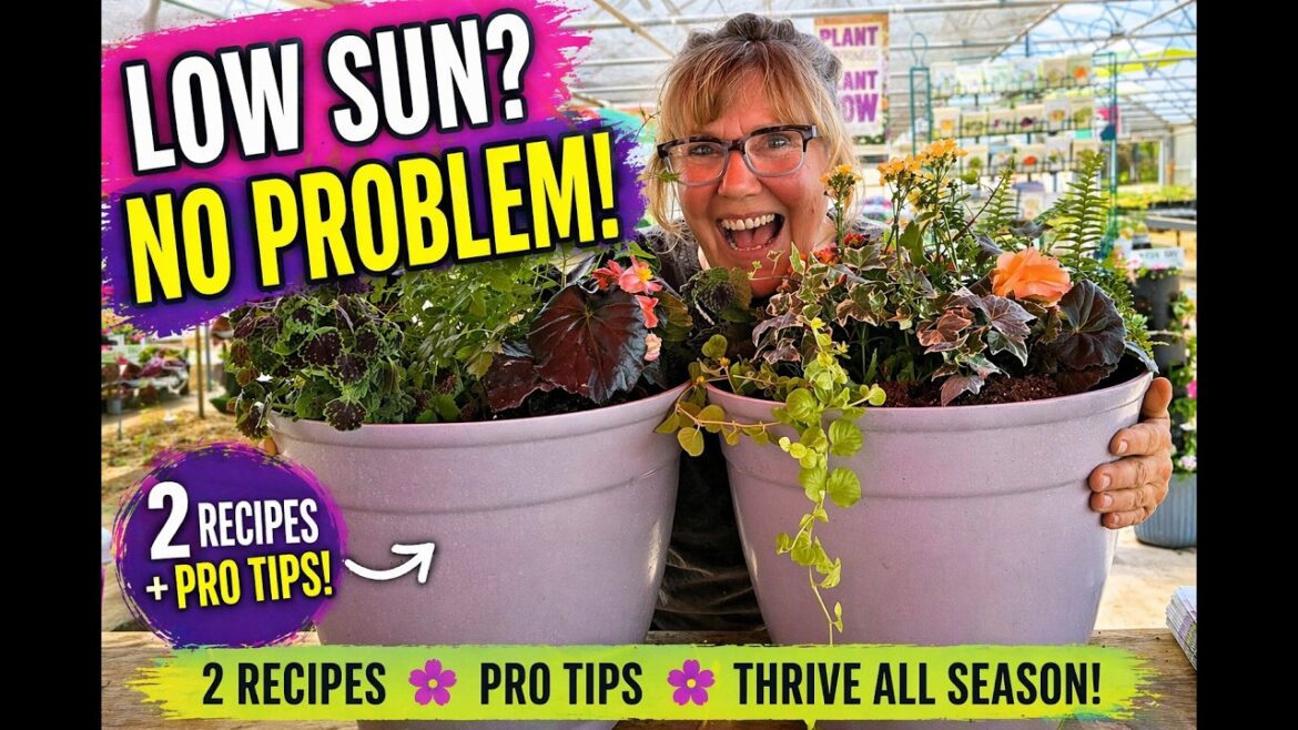 Part Shade Container Gardening Made Easy | 2 Recipes + Pro Tips šæ Part Shade Container Gardening Made Easy | 2 Recipes + Pro Tips šæ