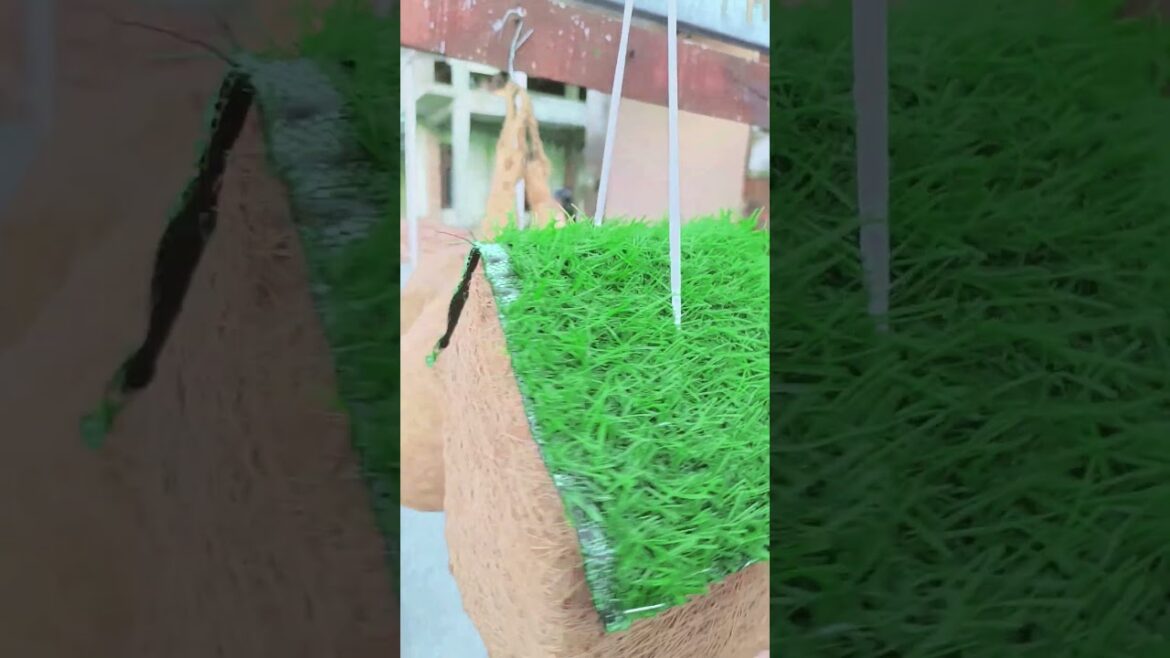bird house 🏡 nature's lover #garden tips ✅.. दीक्षा नर्सरी हल्द्वानी।