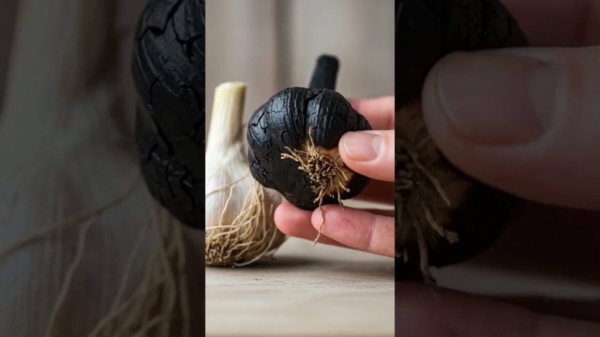 Garlic Sprouts or Dries Out? Here is the SOLUTION! | Gardener Tips