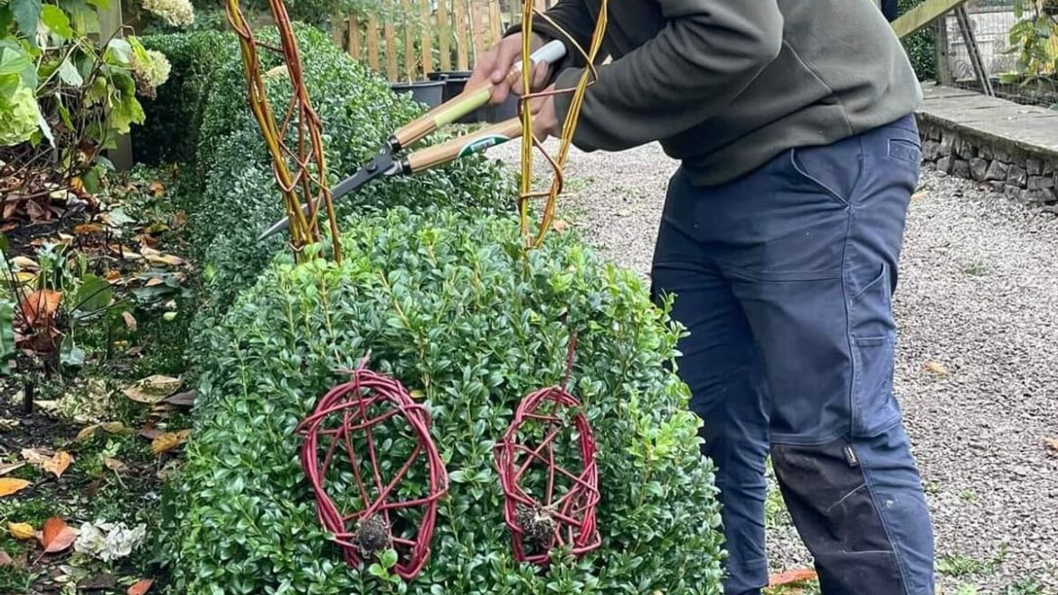 Gardener warns ‘you could be breaking law’ as rule starts in May Devon Live