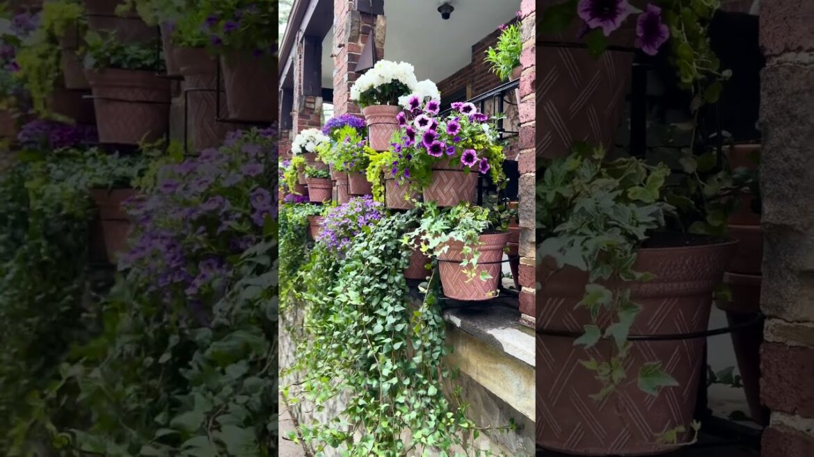 RailScapes™️ from PlantTraps.com #balconygarden #garden #railscapes #planttraps
