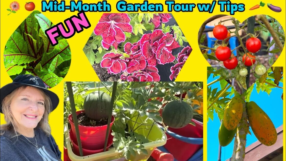 Garden Tour Tips on Growing a Vegetable Garden 🍅Cheap Methods Container Gardening Tomatoes Garden Tour Tips on Growing a Vegetable Garden 🍅Cheap Methods Container Gardening Tomatoes