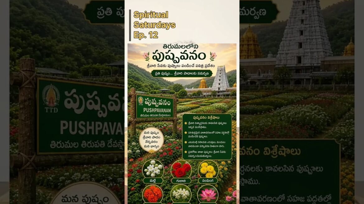 తిరుమల లోని Pushpa Vanam🌸 gurinchi konni vishayali #tirumala #tirupati #pushpavanam #flowergarden తిరుమల లోని Pushpa Vanam🌸 gurinchi konni vishayali #tirumala #tirupati #pushpavanam #flowergarden