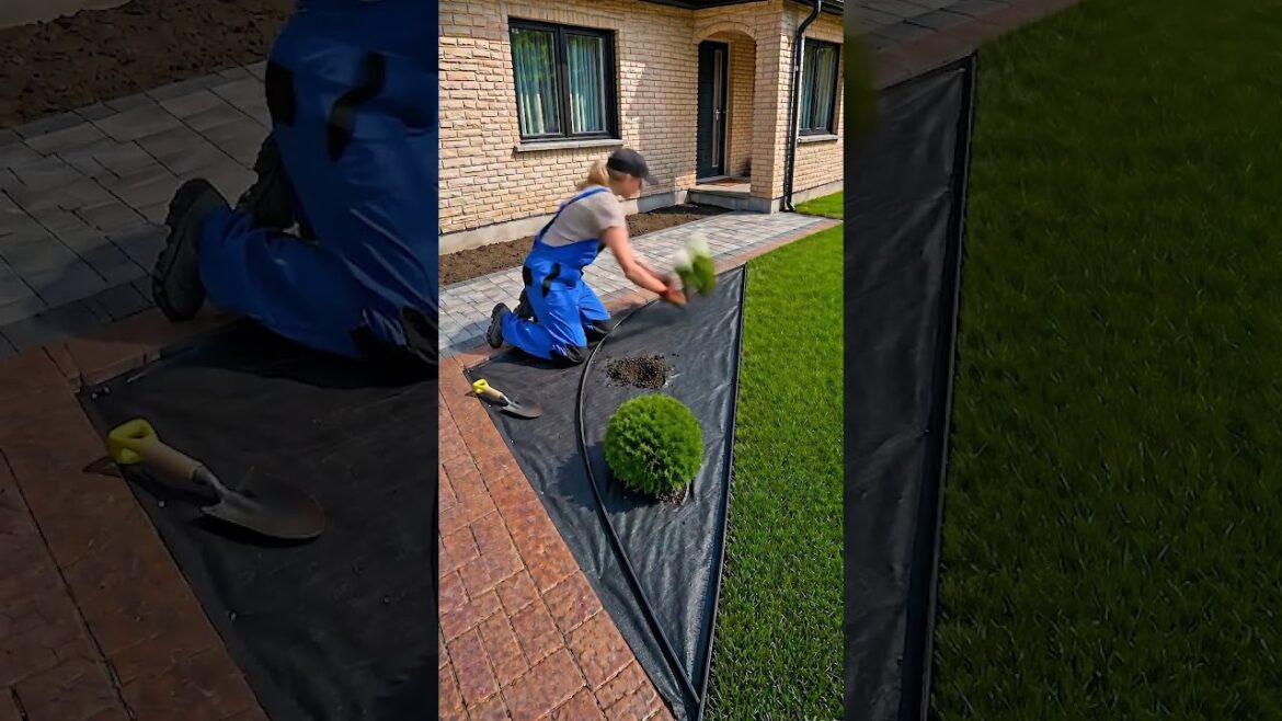 This Garden Layout Is So Satisfying to Watch 😍