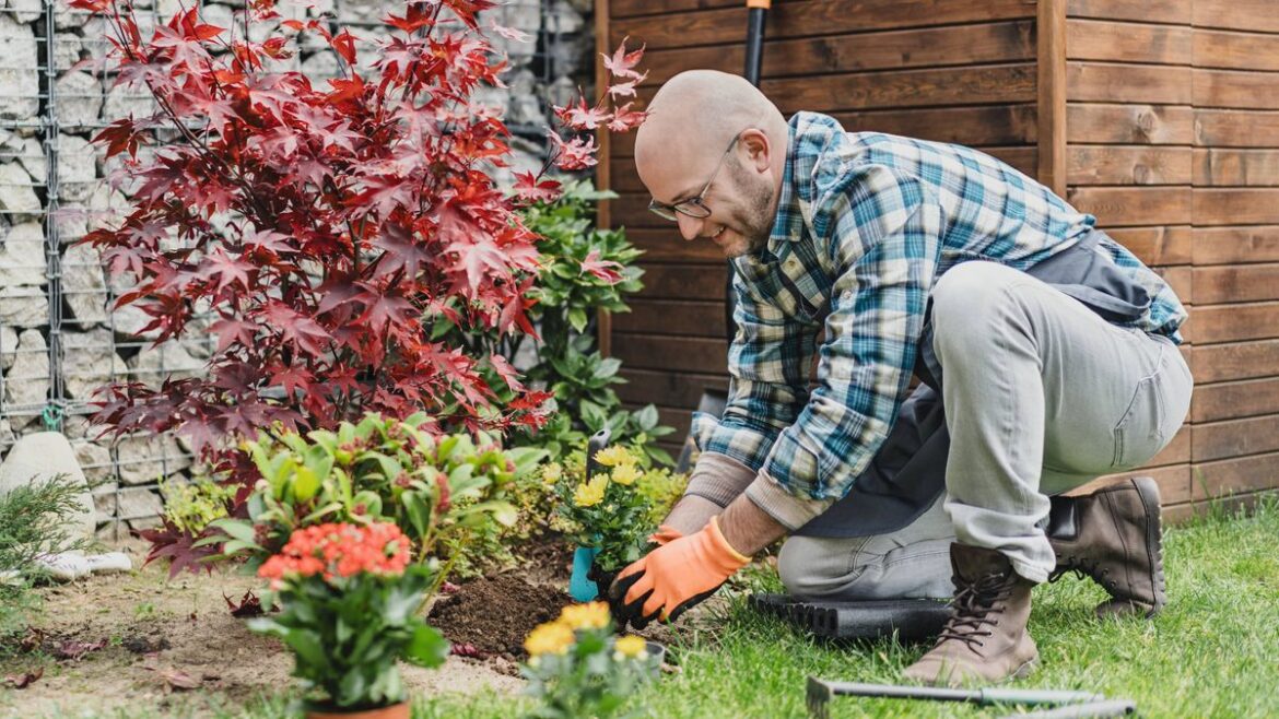 All gardeners must complete 3 jobs in May – and avoid common mistake Daily Mirror