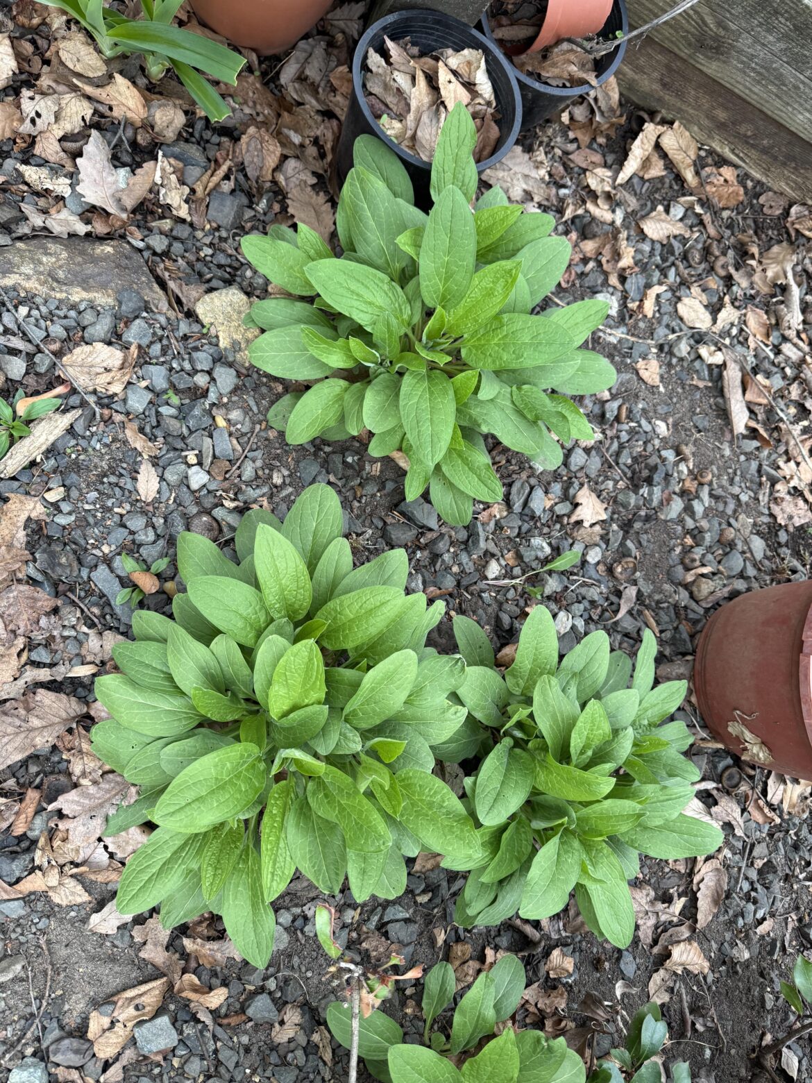What is this?