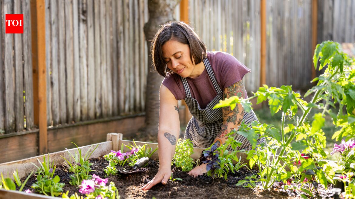 Things you are not allowed to do in your garden in the US Things you are not allowed to do in your garden in the US