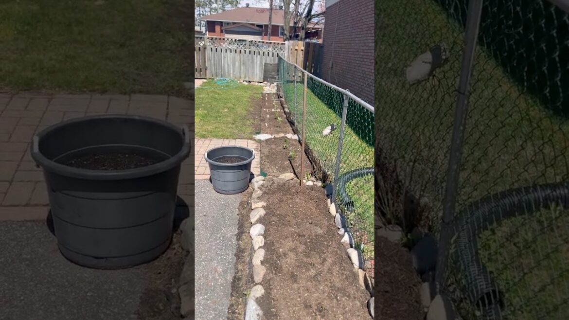 Big Changes Ahead: Gardening, Drone Adventures & Channel Growth Plans #shorts #stream #viral #clips Big Changes Ahead: Gardening, Drone Adventures & Channel Growth Plans #shorts #stream #viral #clips