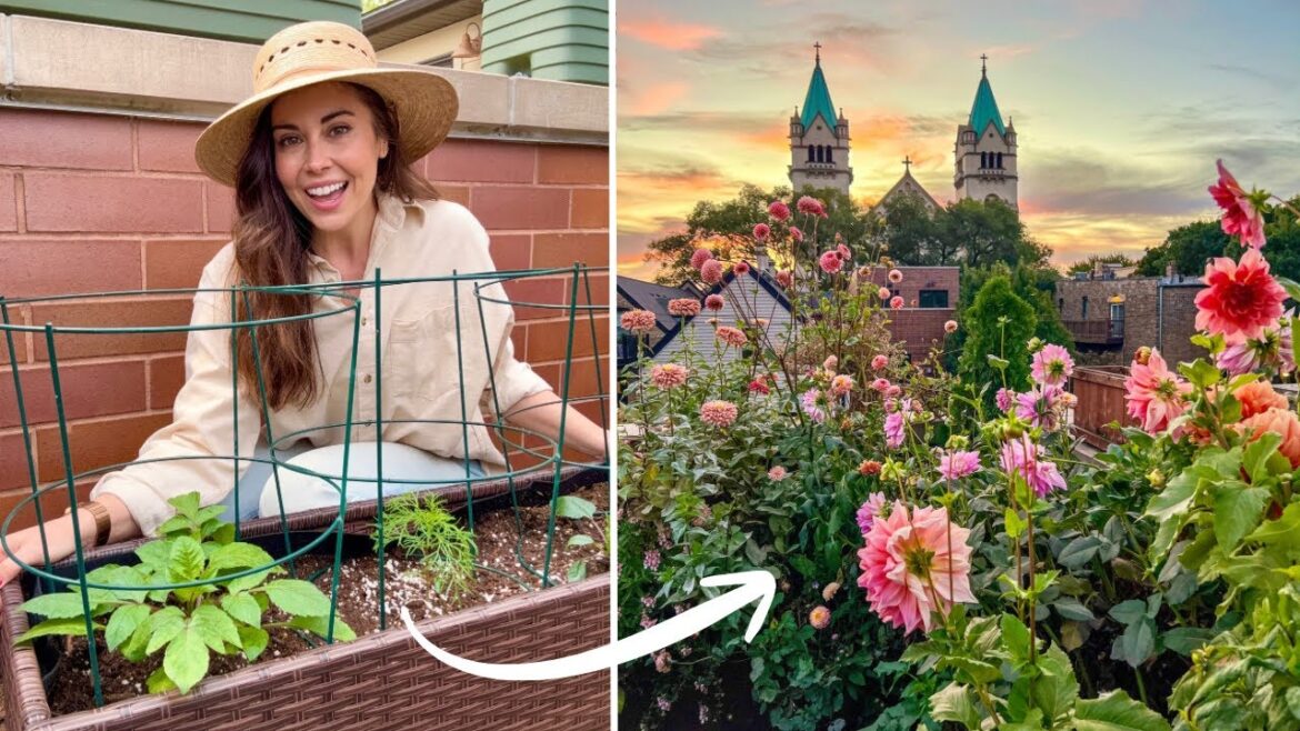 Planting Dahlias In My Container Garden! Step-By-Step Process 🌸 Planting Dahlias In My Container Garden! Step-By-Step Process 🌸