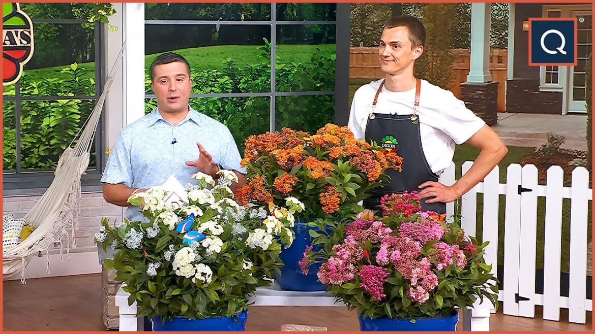 Garden Favorites from Roberta’s Unique Gardens | QVC Garden Favorites from Roberta’s Unique Gardens | QVC