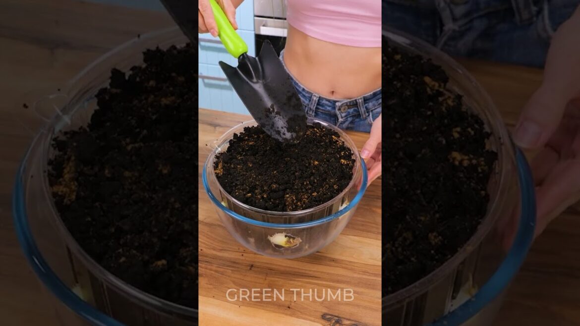 Effective gardening tricks for busy people ⏳🪴 Effective gardening tricks for busy people ⏳🪴