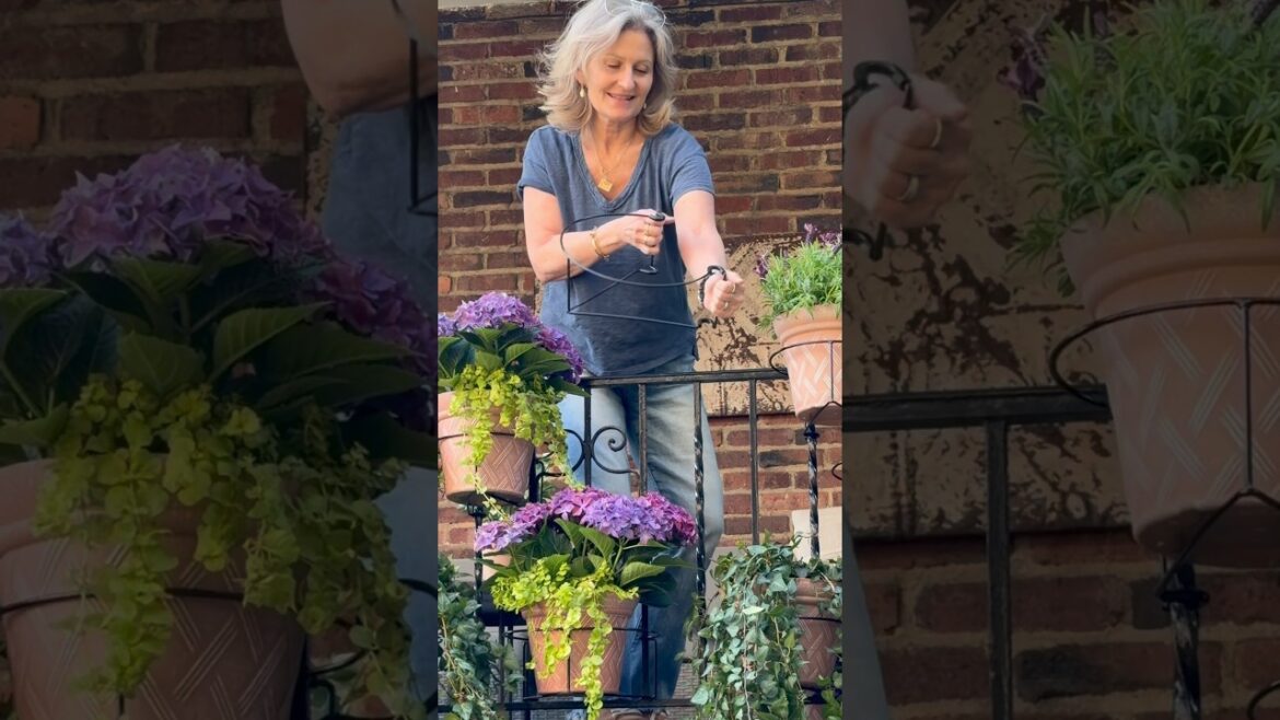 RailScapes™️ 👉 PlantTraps.com #balconygarden #balconydesignideas #gardening #gardendesign