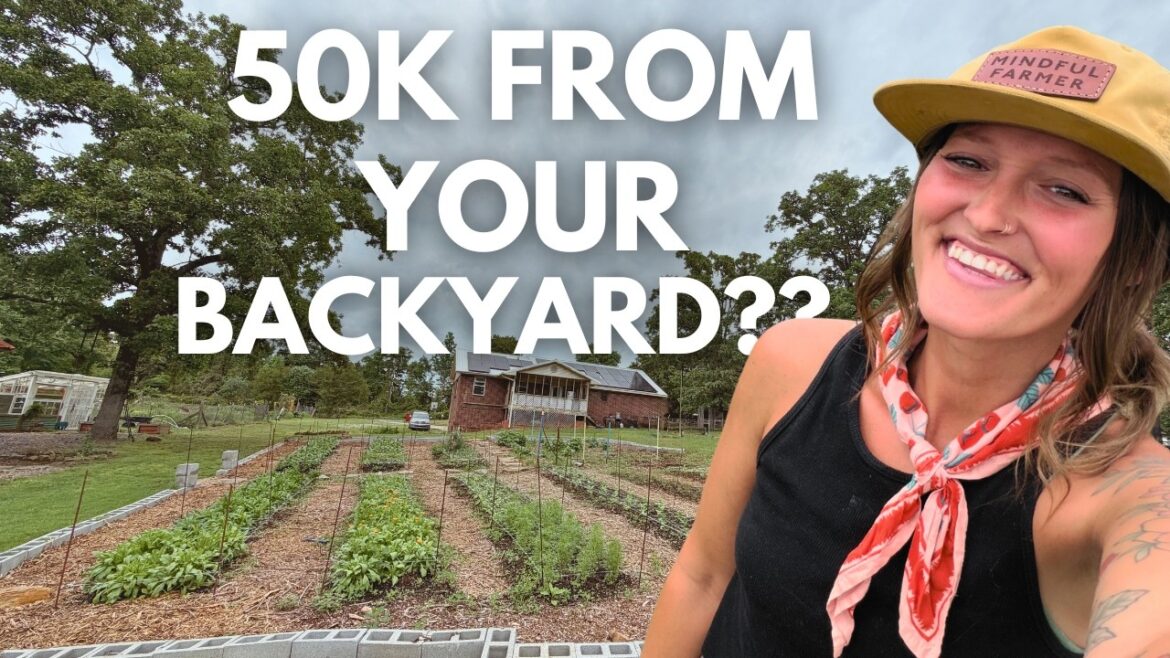 Top 4 Most Profitable Crops to Grow in Your Backyard