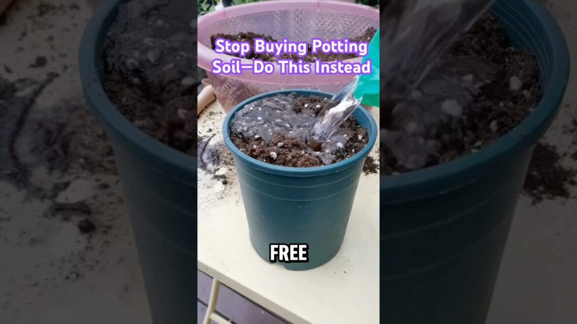 Stop Buying Potting Soil—Do This Instead #shortvideo