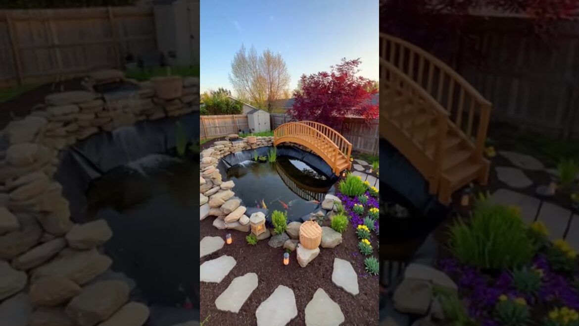 Beautiful Koi Garden Like a Mini Resort #koipond #garden #shorts Beautiful Koi Garden Like a Mini Resort #koipond #garden #shorts