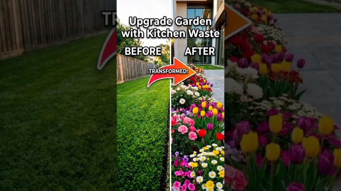 Upgrade Your Garden with Kitchen Waste 🌱✨ (Crazy Transformation!)#EcoGarden #WasteToGarden Upgrade Your Garden with Kitchen Waste 🌱✨ (Crazy Transformation!)#EcoGarden #WasteToGarden