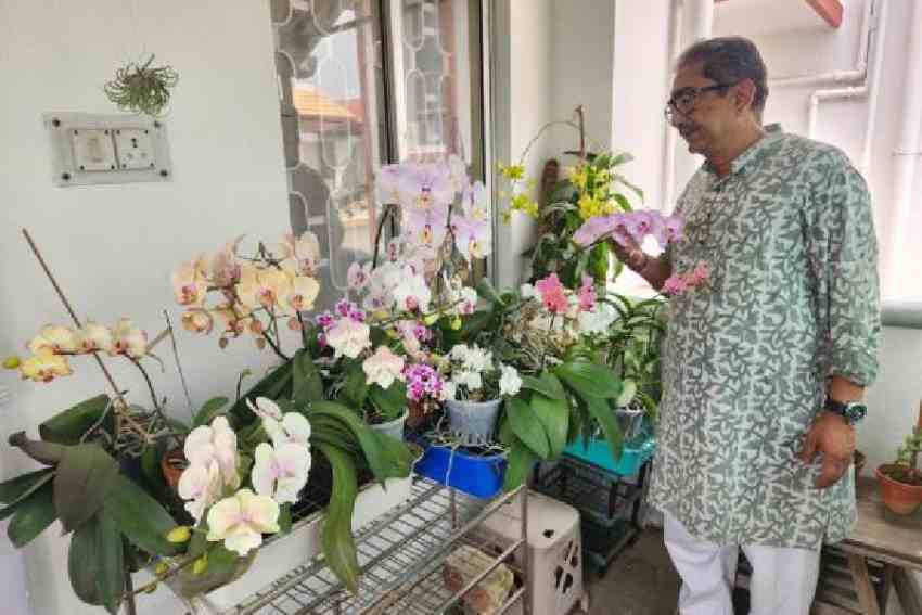 gardening | My garden: Arnab Bhattacharjee’s colourful Orchids bright enough to clear dark skies Arnab Bhattacharjee admires at the blooms in his balcony. Pictures by Brinda Sarkar