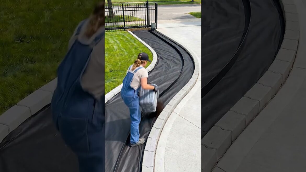 This upgrade completely transforms the look of the front yard