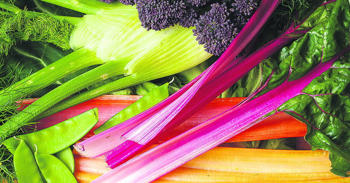 GARDENING: Protect vulnerable plants from last of the frosts GARDENING: Protect vulnerable plants from last of the frosts