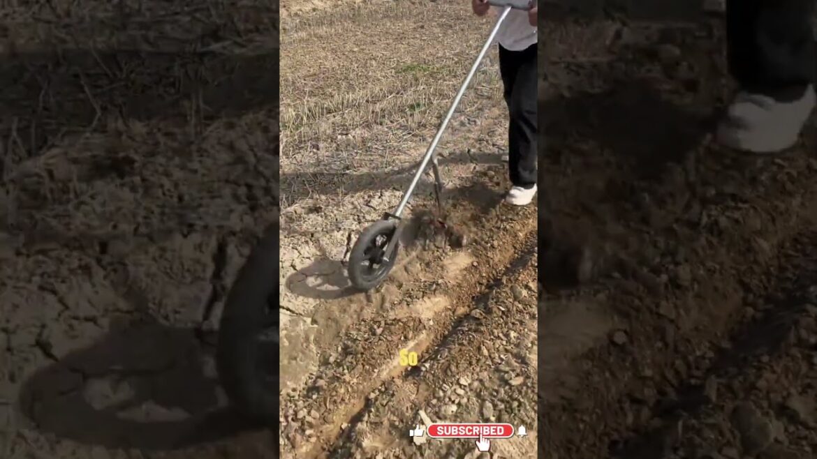 Agriculture Tools Hacks Trips and Tricks #gardening #vegetables #hacks #tools Agriculture Tools Hacks Trips and Tricks #gardening #vegetables #hacks #tools