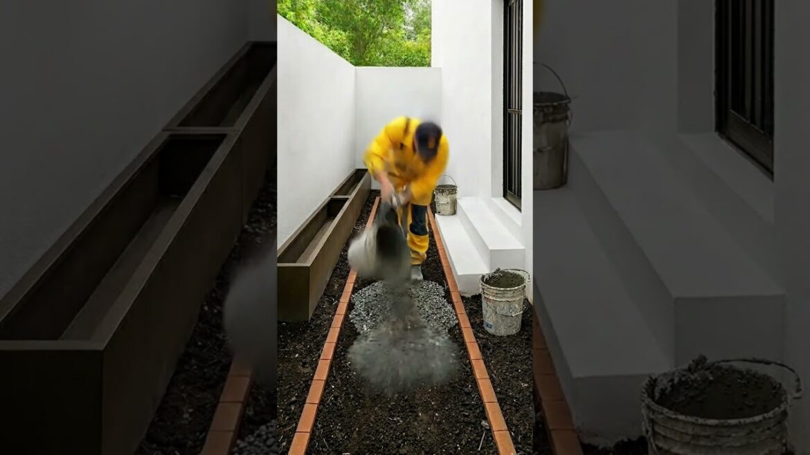 “From Wild to Walkway — A Narrow Passage Makeover” #satisfying "From Wild to Walkway — A Narrow Passage Makeover" #satisfying