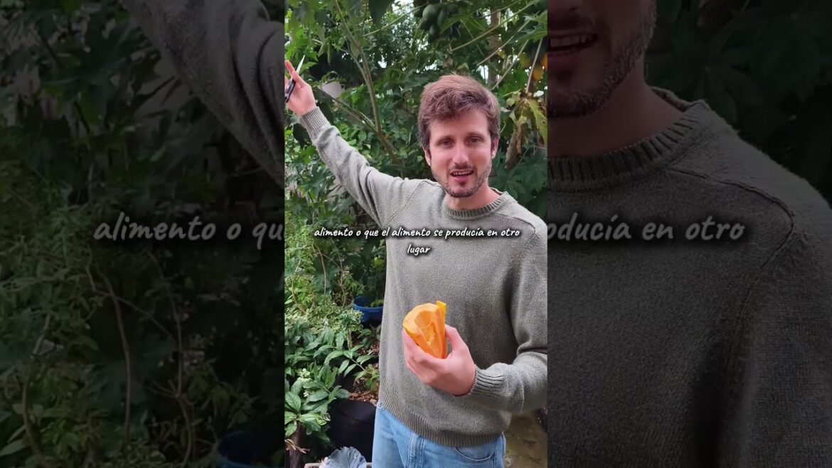 Jardines comestibles vs. jardines esteriles