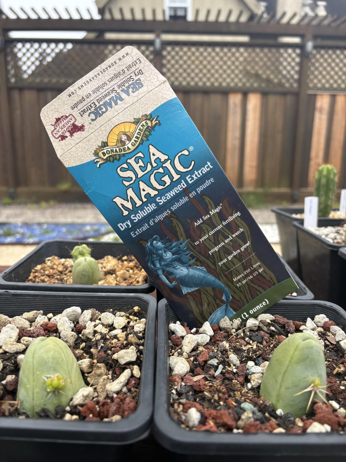 Is it possible to overfeed TBMs with a seaweed based fertilizer like this? I just want all the pups
