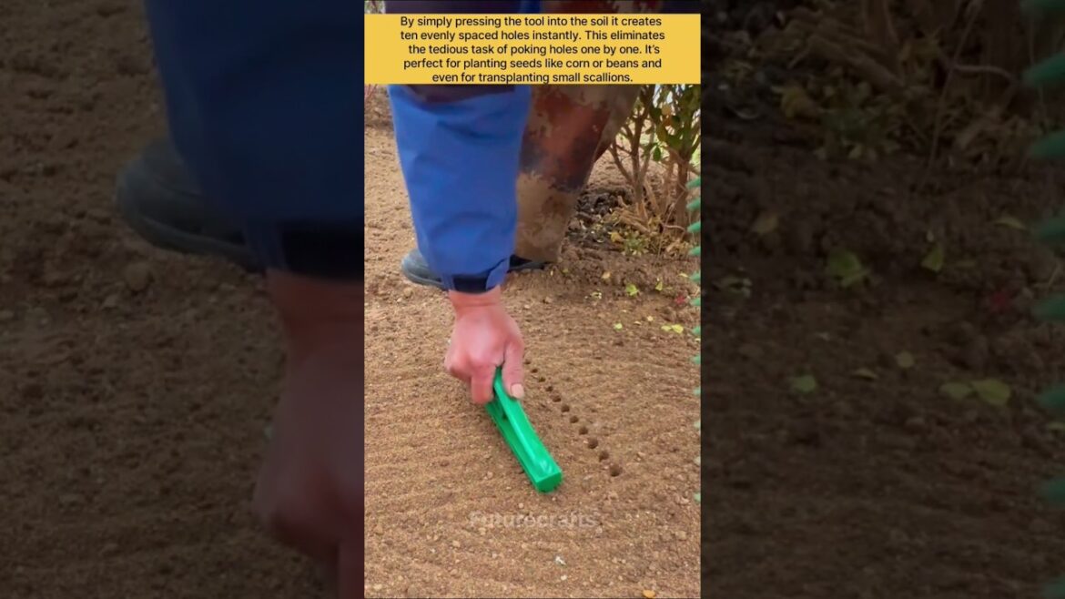 Why Every Home Gardener Needs This Green Tool Why Every Home Gardener Needs This Green Tool