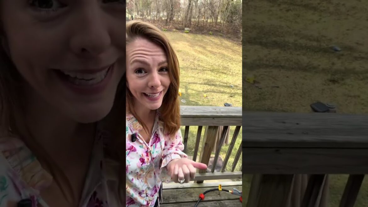 Gardening hack you didn’t know you needed #greenish #retractablehose ...