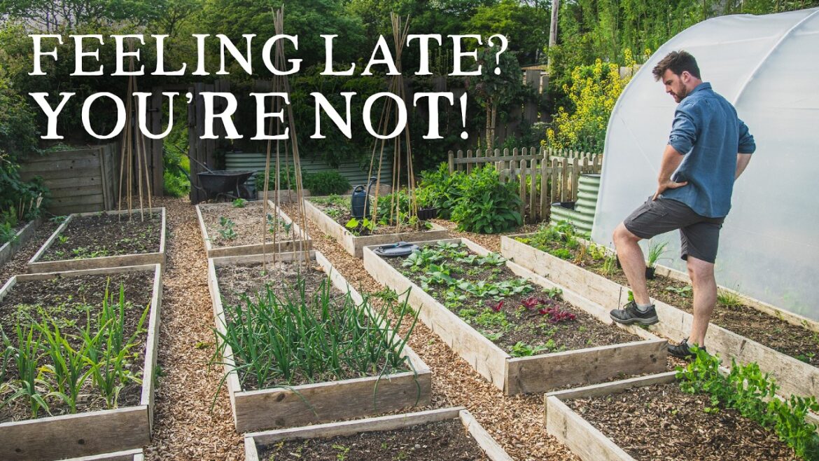 Huw Richards: Watch This Video If You’re Feeling Behind (For Gardeners) Watch This Video If You’re Feeling Behind (For Gardeners)