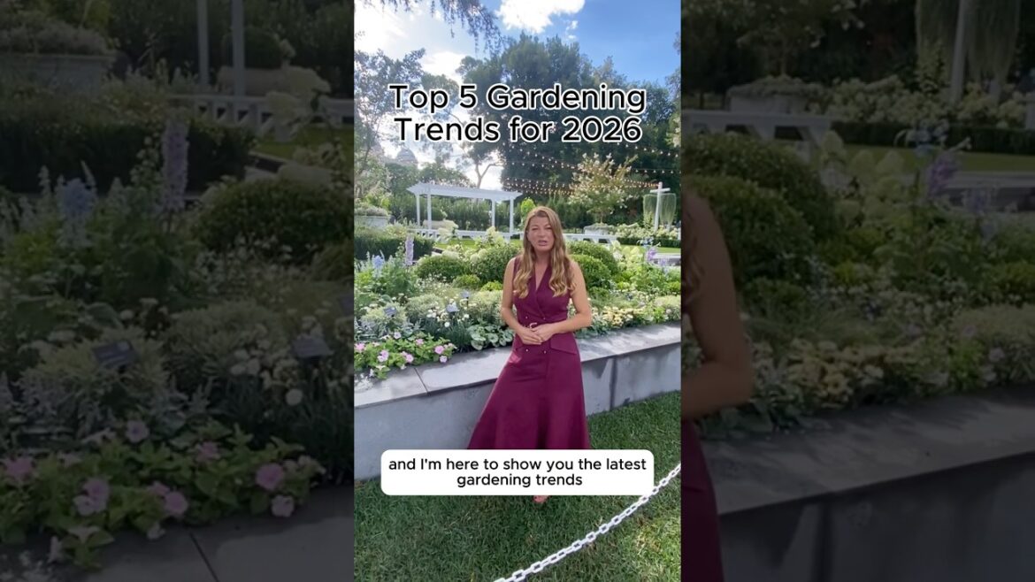 Top 5 Garden Trends for 2026 🪴🌸 Top 5 Garden Trends for 2026 🪴🌸
