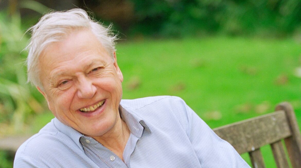 Lawn experts share four ways to make your garden David Attenborough-approved Daily Record