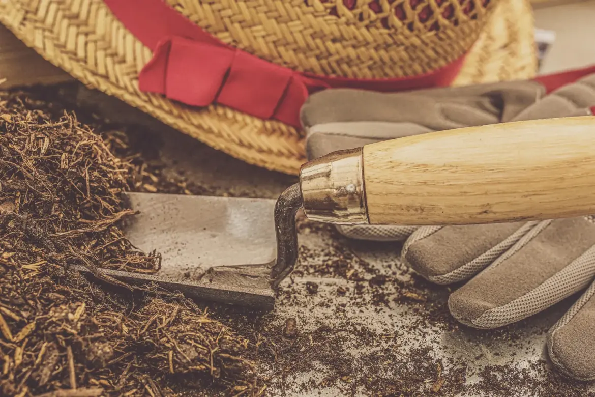 Garden care: what every garden plot owner needs to know АгроВік