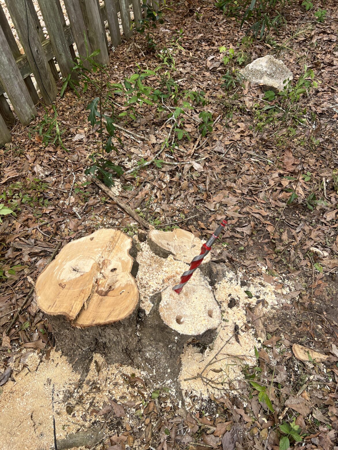 Drill it stuck in stump