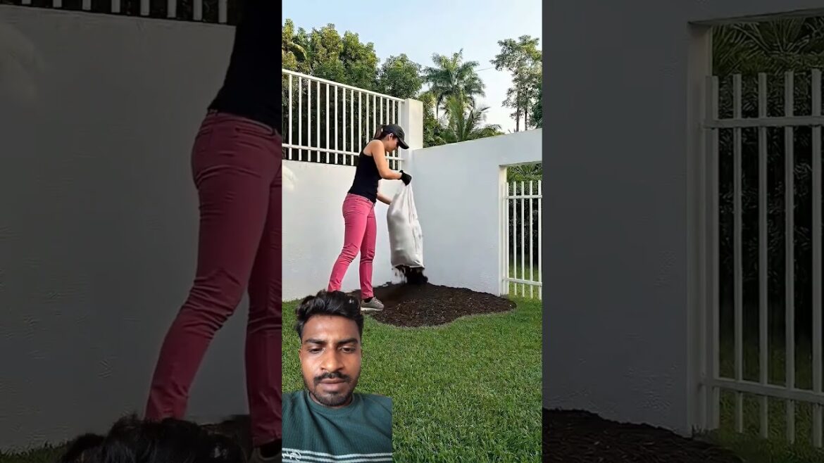 This Garden Design Looks So Fresh 😱 #ai #shorts #craft #trending #viralvideo