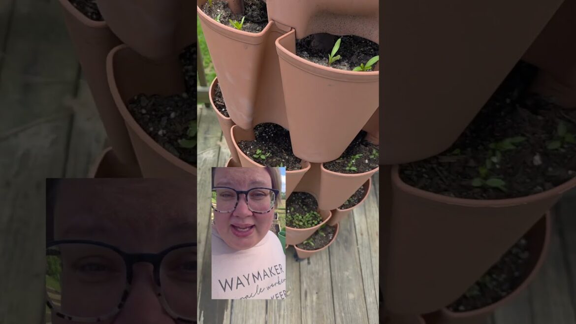 The truth about vertical planters!