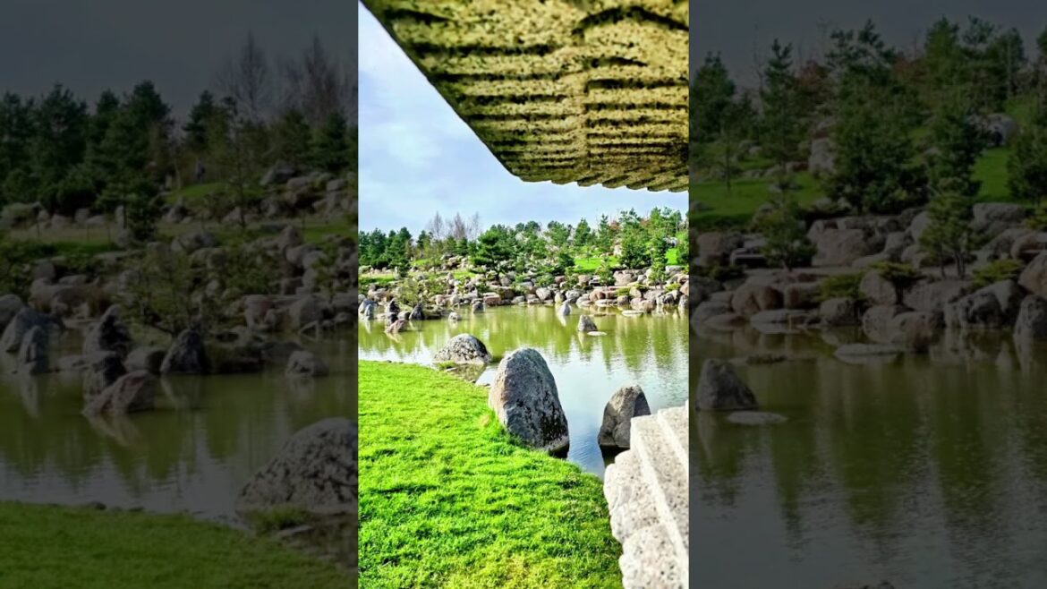 A Visual Journey Through a Japanese Garden #nature #relax #relaxing #landscape
