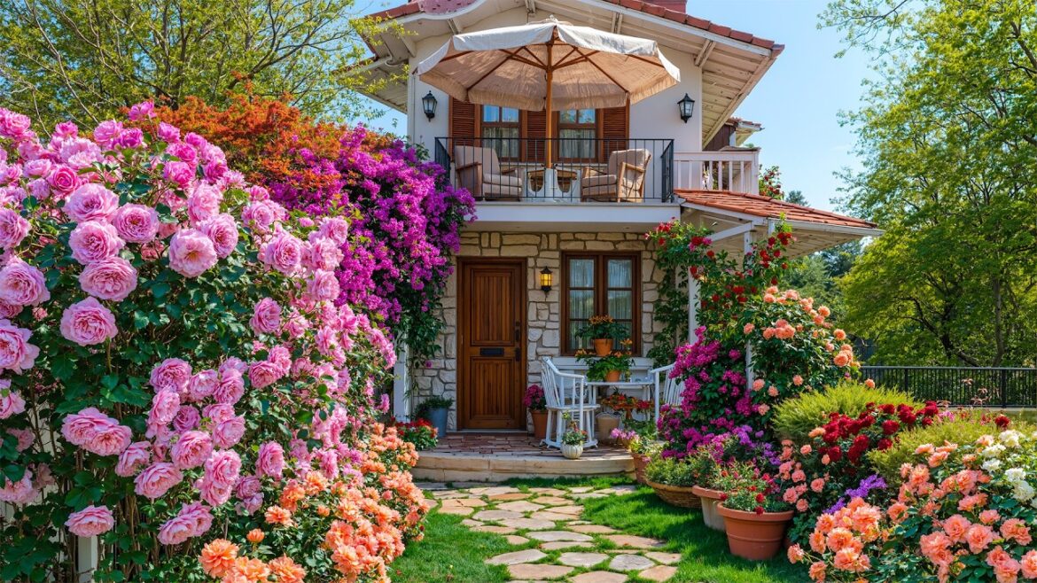 Creative DIY Mini Garden Homes | Inspiring Peaceful Garden Design Ideas🌱Beautiful Flower Garden Tour Creative DIY Mini Garden Homes | Inspiring Peaceful Garden Design Ideas🌱Beautiful Flower Garden Tour