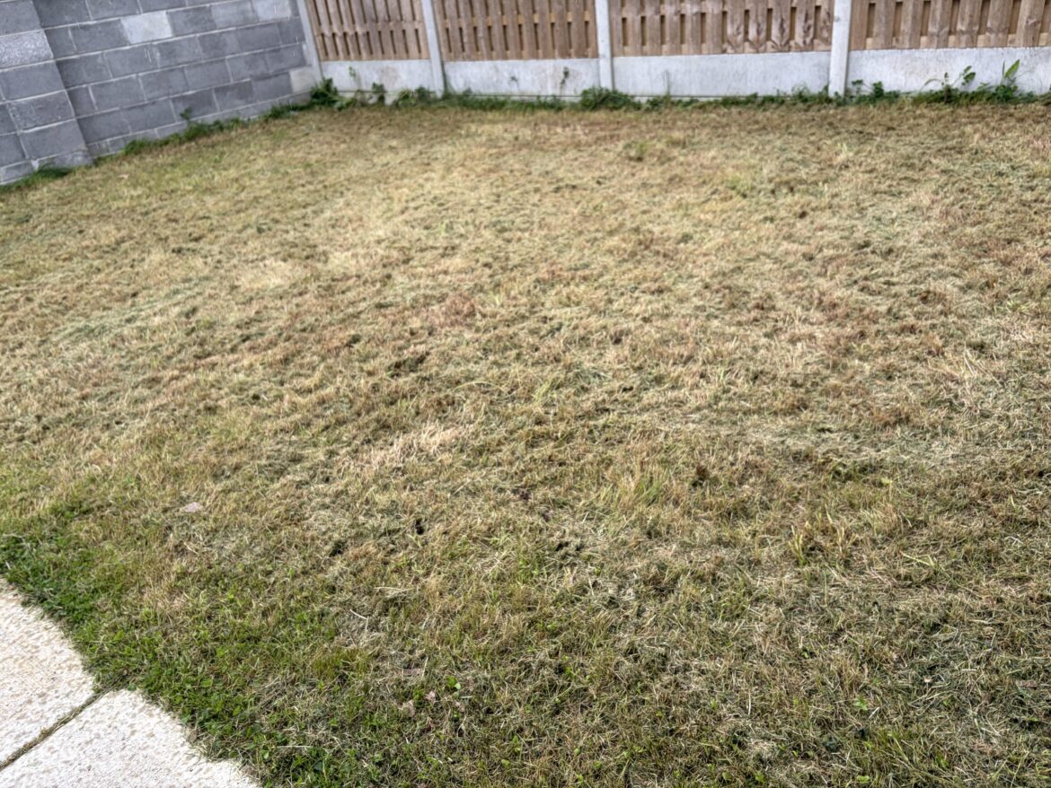 Help with Grass? Help with Grass?
