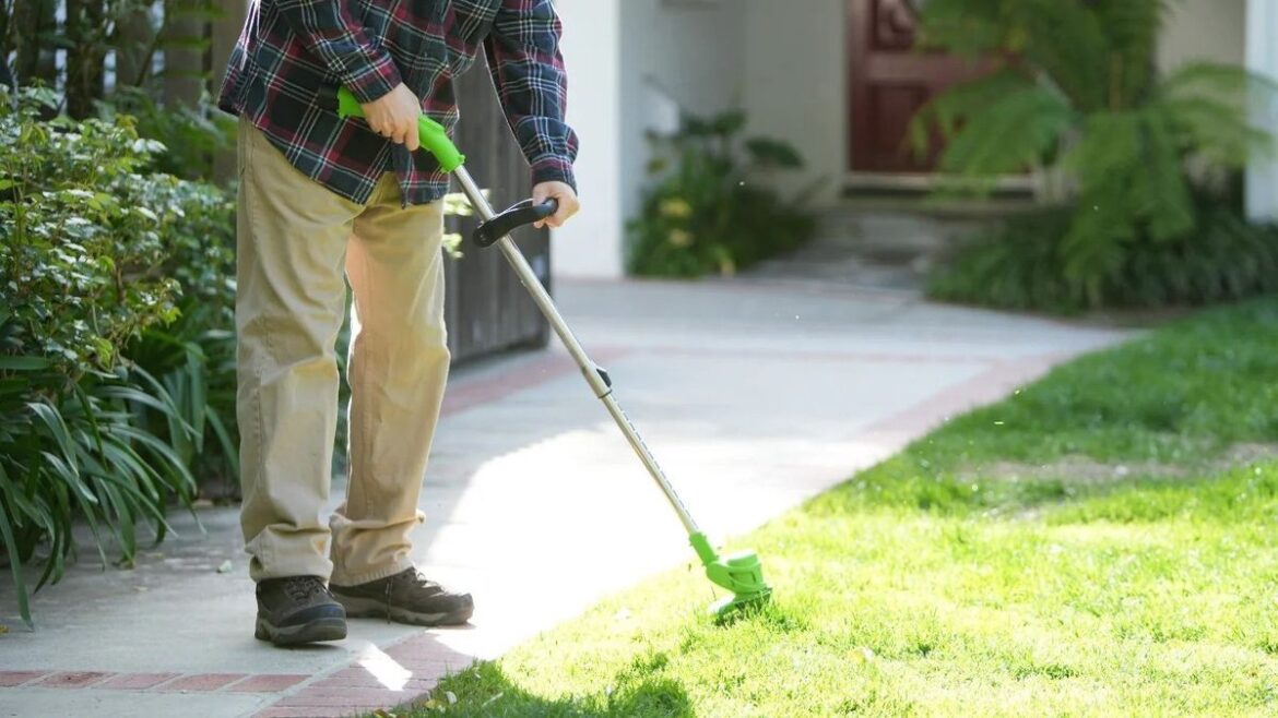 Cordless strimmer that ‘makes gardening a pleasure’ reduced to £27 beating Amazon Wales Online