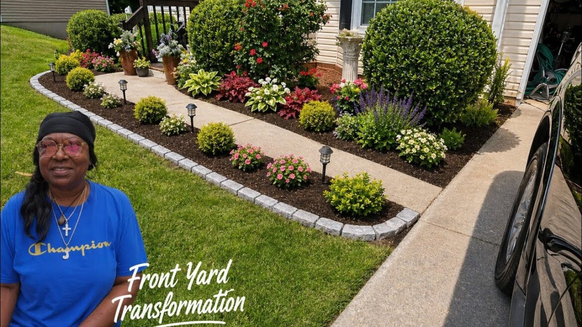 I Turned My Plain Yard Into A Dream Entrance Watch My Front Yard Transform Into Paradise On A Budget I Turned My Plain Yard Into A Dream Entrance Watch My Front Yard Transform Into Paradise On A Budget